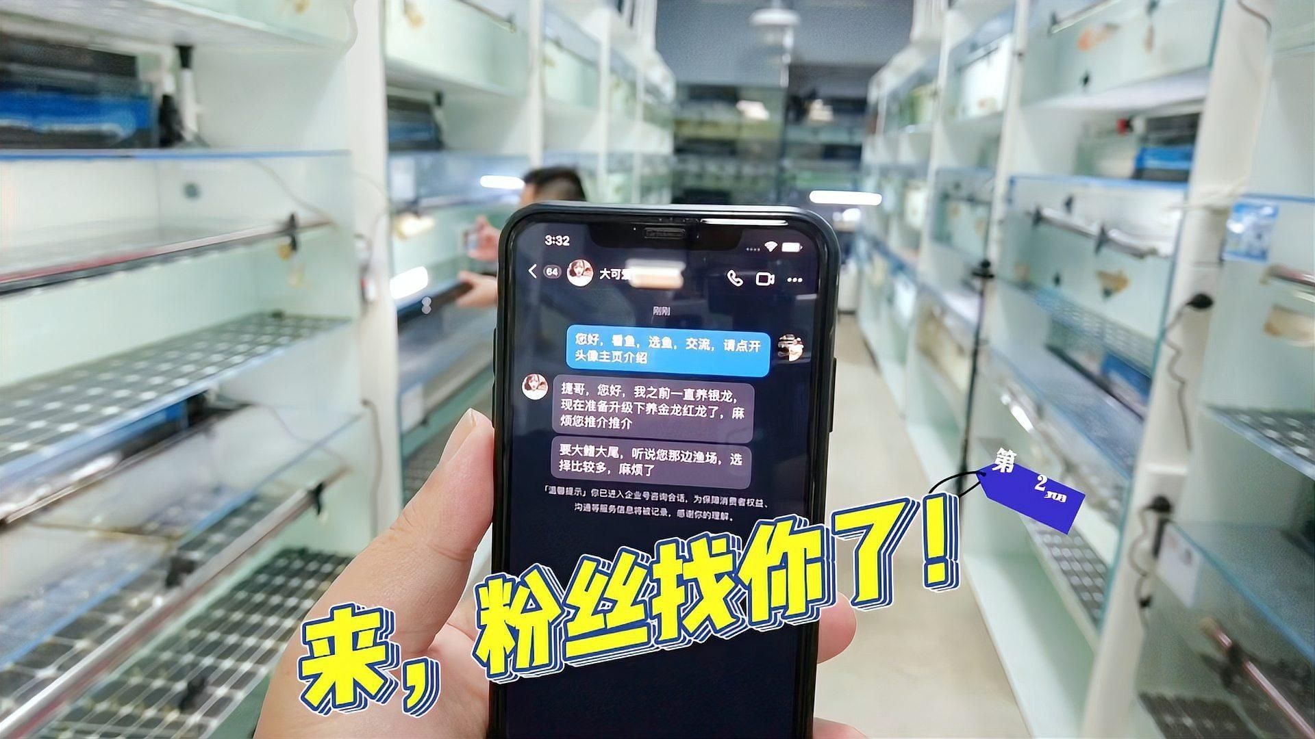 紅龍和金龍哪個更適合新手？，全民小視頻，龍魚哪個品種最好養(yǎng)魚大全