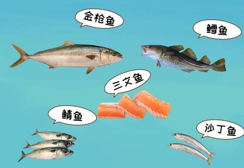 貓最愛(ài)吃的魚(yú)前十名，貓咪最愛(ài)吃的10種魚(yú)類前十名貓咪最愛(ài)吃哪些魚(yú)尾巴搖搖屋