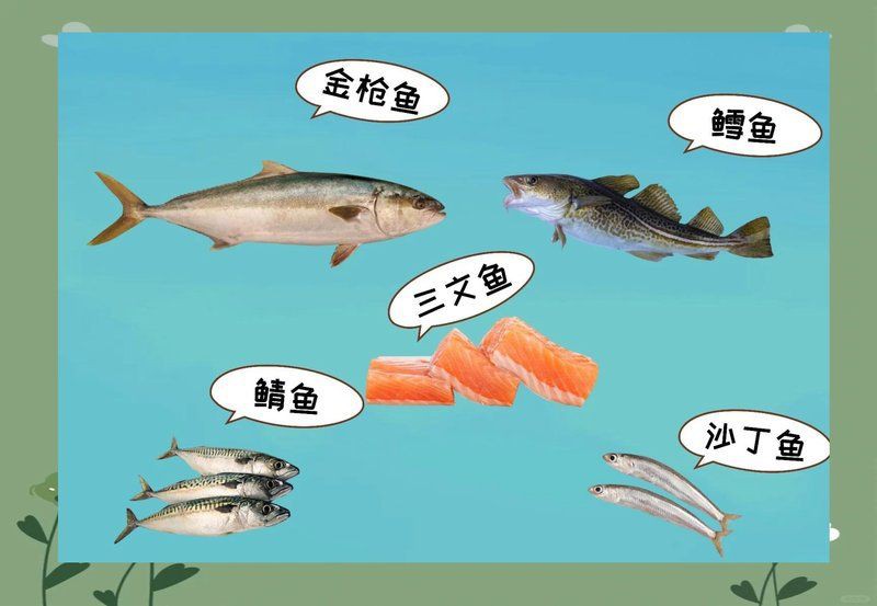貓最愛(ài)吃的魚(yú)前十名，貓咪最愛(ài)吃的10種魚(yú)類前十名貓咪最愛(ài)吃哪些魚(yú)尾巴搖搖屋
