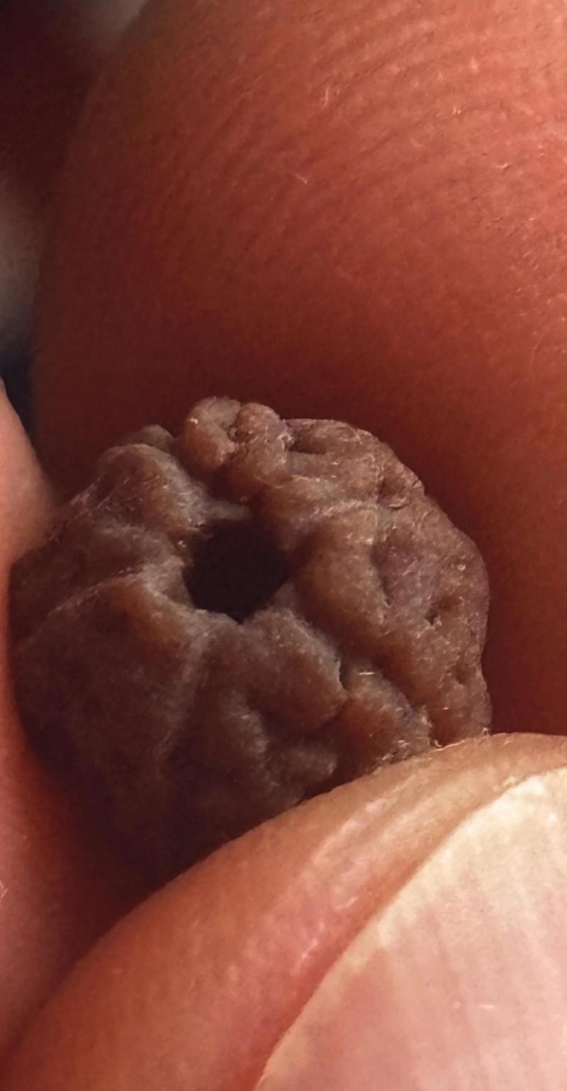 如何判斷白子招財龍的質(zhì)量？，如何判斷白子招財龍的質(zhì)量，白子招財龍的質(zhì)量需從多方面入手
