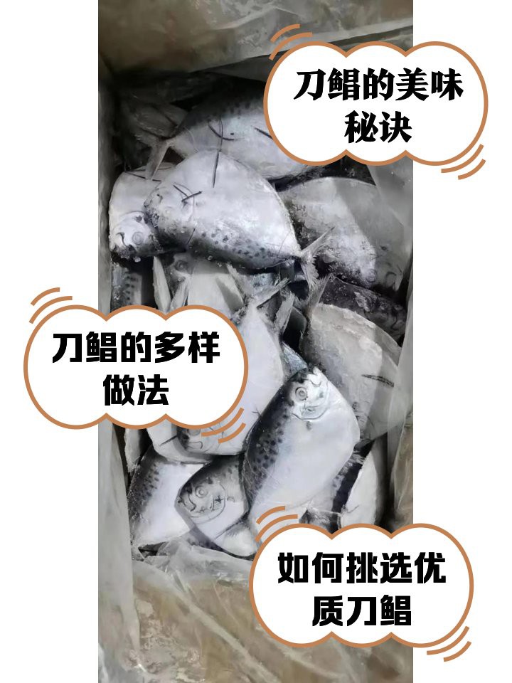 刀鯧魚能吃嗎，25大高嘌呤食物一覽表刀鯧魚寶寶能吃嗎 刀鯧魚能吃嗎，25大高嘌呤食物一覽表刀鯧魚寶寶能吃嗎 龍魚論壇 第11張