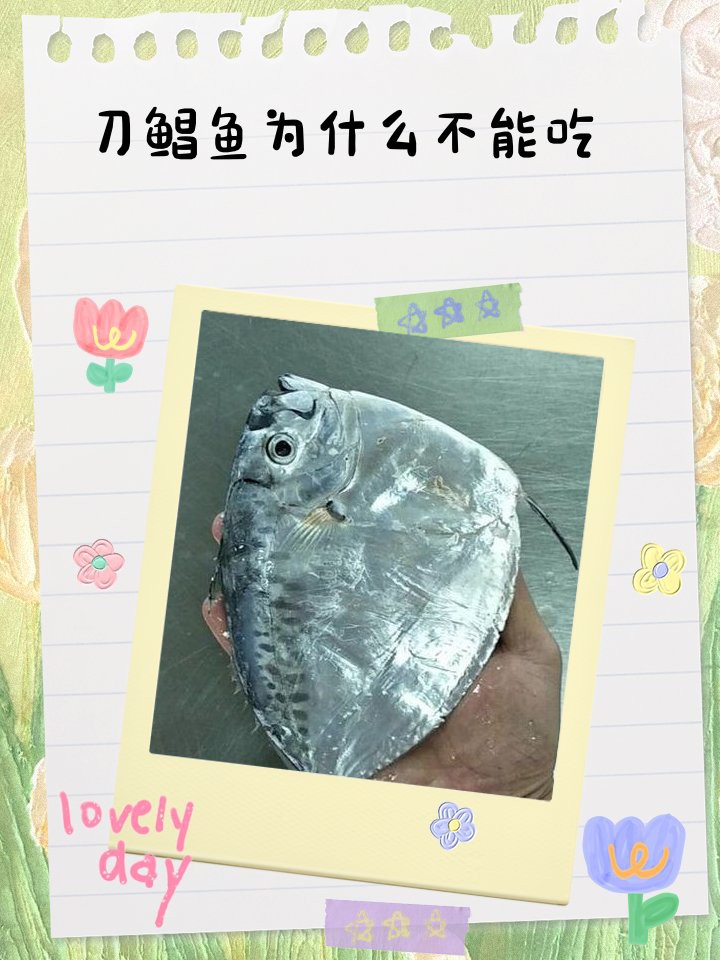刀鯧魚能吃嗎，25大高嘌呤食物一覽表刀鯧魚寶寶能吃嗎 刀鯧魚能吃嗎，25大高嘌呤食物一覽表刀鯧魚寶寶能吃嗎 龍魚論壇 第6張
