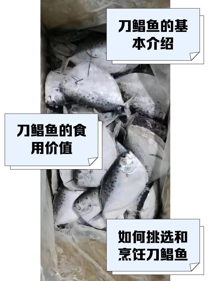 刀鯧魚能吃嗎，25大高嘌呤食物一覽表刀鯧魚寶寶能吃嗎 刀鯧魚能吃嗎，25大高嘌呤食物一覽表刀鯧魚寶寶能吃嗎 龍魚論壇 第12張