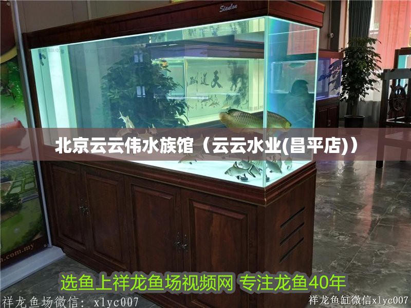 昌平龍魚店，北京昌平龍魚店哪家口碑最好丹江漁村(龍旗店