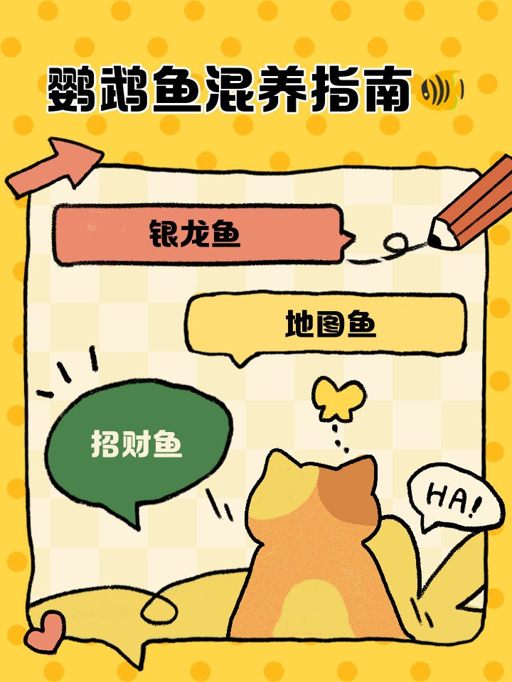 如何設置龍魚和鸚鵡魚混養的水質？，如何設置龍魚和鸚鵡魚混養的水質