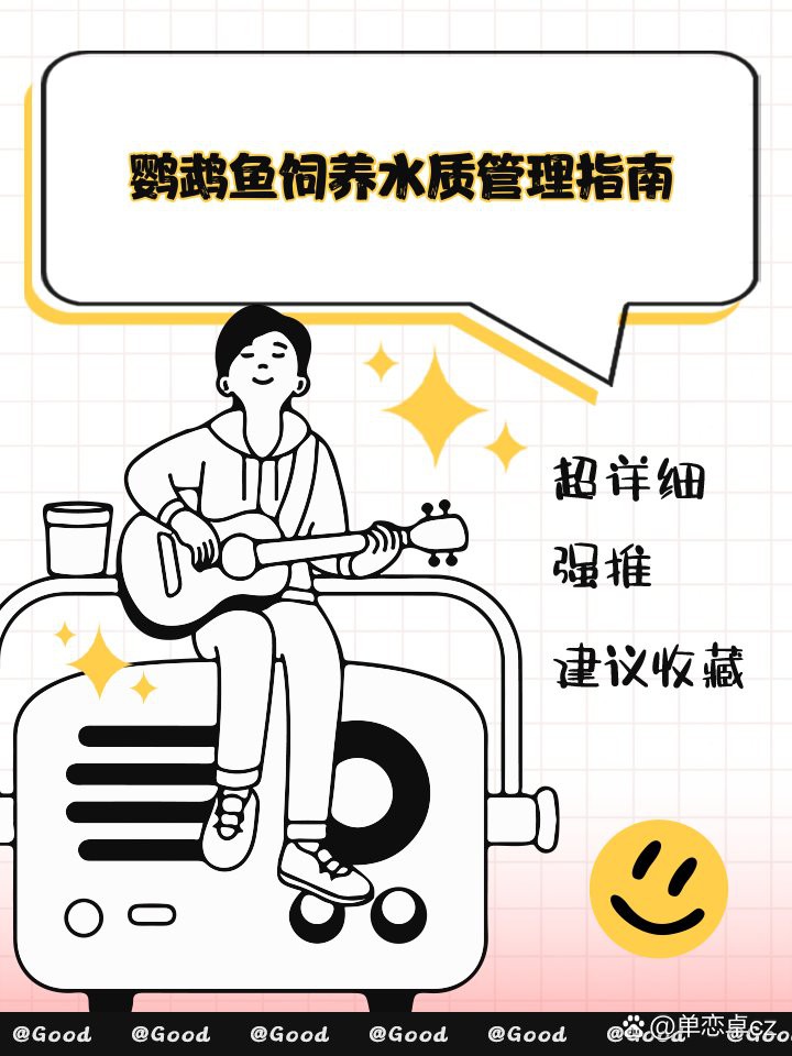 如何設置龍魚和鸚鵡魚混養的水質？，如何設置龍魚和鸚鵡魚混養的水質