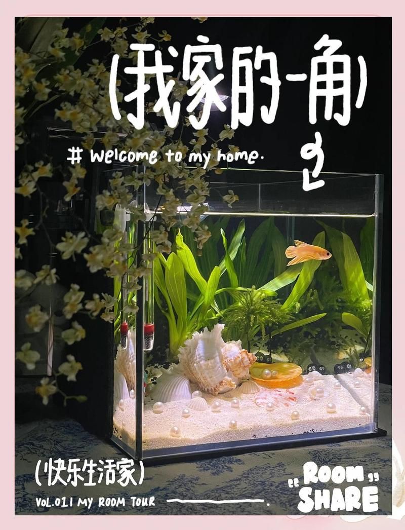 白缸養(yǎng)魚的裝飾技巧，白缸養(yǎng)魚的裝飾技巧，6種絕美魚缸造景全攻略，新手必看