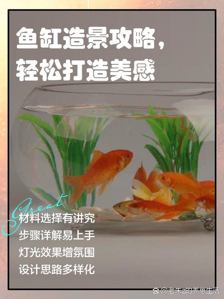 白缸養(yǎng)魚的裝飾技巧，白缸養(yǎng)魚的裝飾技巧，6種絕美魚缸造景全攻略，新手必看