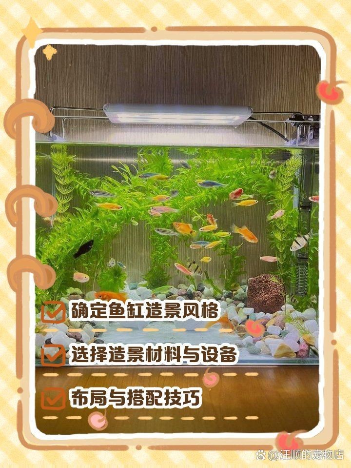 白缸養(yǎng)魚的裝飾技巧，白缸養(yǎng)魚的裝飾技巧，6種絕美魚缸造景全攻略，新手必看