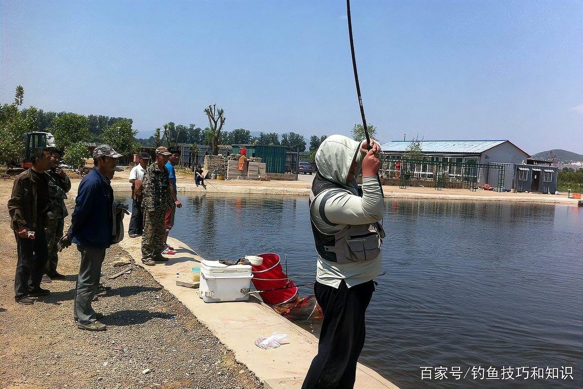 目前最強魚類誘食劑，最強魚類誘食劑