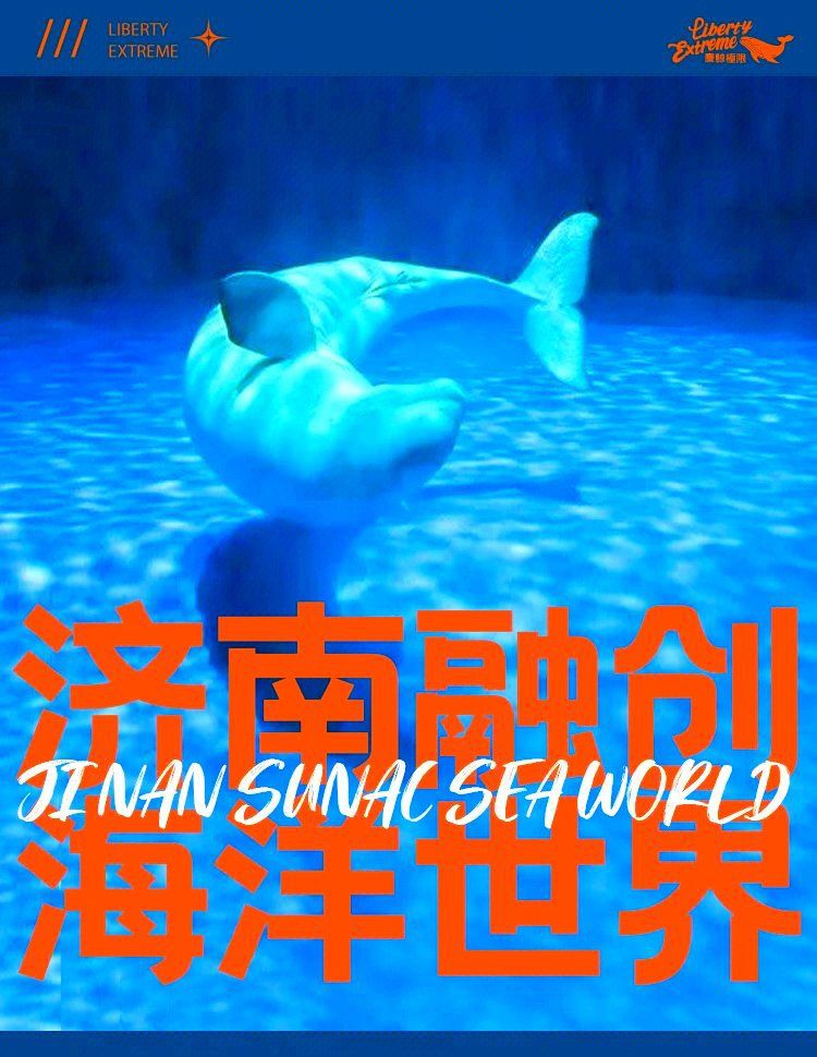 濟南水族店，濟南市天橋區(qū)可麗愛水族店(個體工商戶)