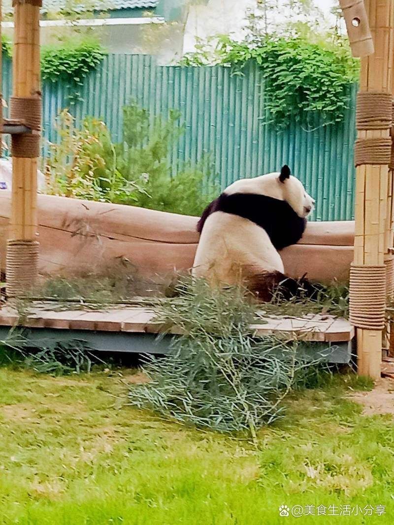 濟南水族店，濟南市天橋區(qū)可麗愛水族店(個體工商戶)