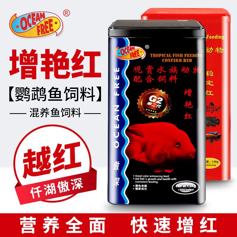 如何科學搭配紅龍魚的飼料？，如何科學搭配紅龍魚的飼料