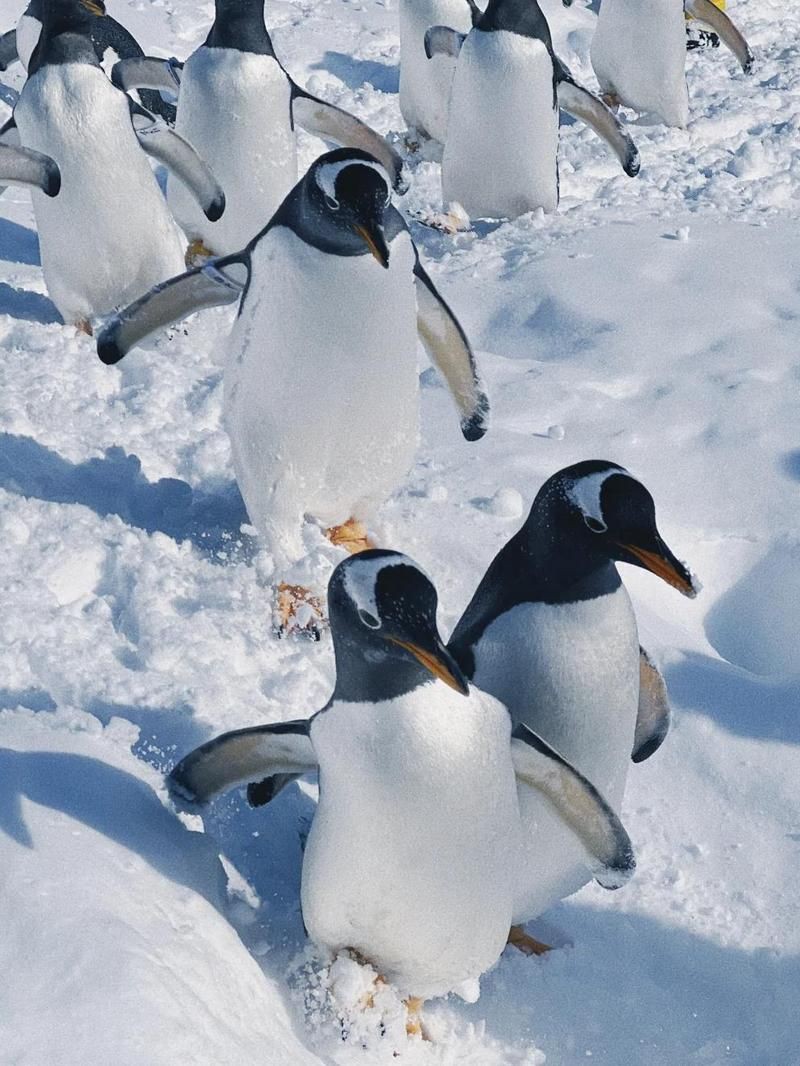 遂寧水族館，河東遂寧水族館：水族館的生命與自然的史詩正徐徐