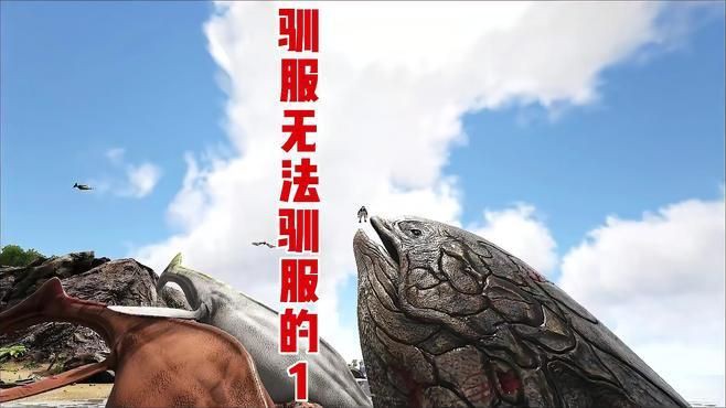 利茲魚(yú)，《方舟生存進(jìn)化》利茲魚(yú)