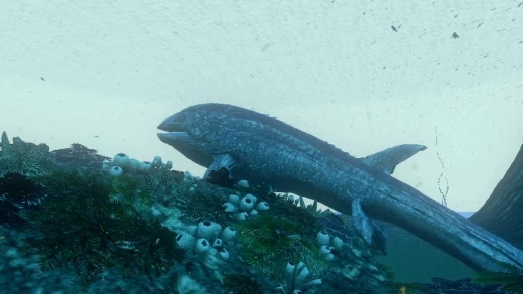 利茲魚(yú)，《方舟生存進(jìn)化》利茲魚(yú)