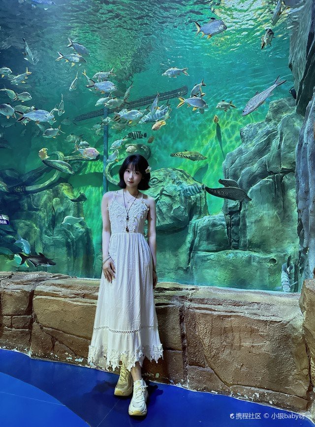 景洪水族店，景洪水族店和浩瀚水族館的區別 景洪水族店，景洪水族店和浩瀚水族館的區別 全國水族館企業名錄 第2張