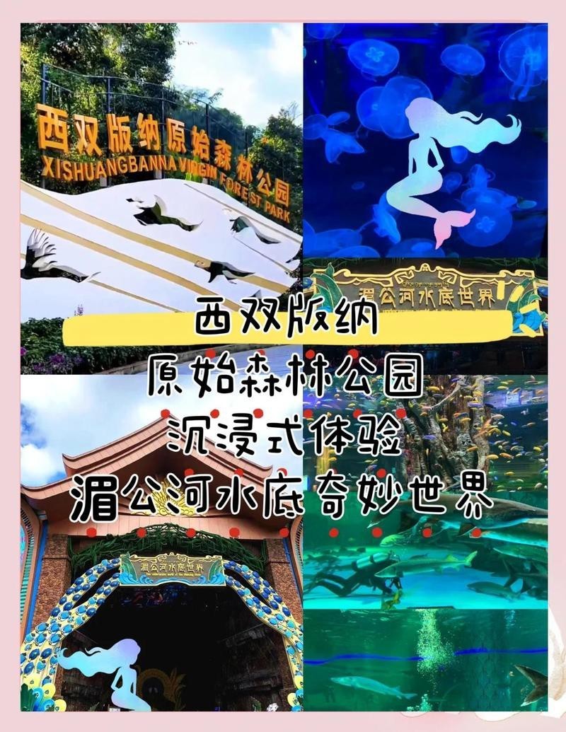 景洪水族店，景洪水族店和浩瀚水族館的區別 景洪水族店，景洪水族店和浩瀚水族館的區別 全國水族館企業名錄 第3張