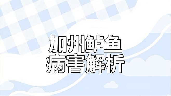 爛身病對魚類的危害有多大？，加州鱸魚爛身病是什么原因研途栗子