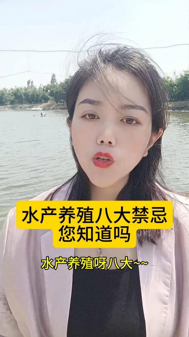 養(yǎng)藍(lán)曼龍魚的十大禁忌，養(yǎng)殖藍(lán)曼龍的注意事項(xiàng) 養(yǎng)藍(lán)曼龍魚的十大禁忌，養(yǎng)殖藍(lán)曼龍的注意事項(xiàng) 龍魚論壇 第10張