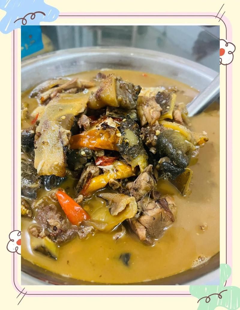 贛州龍魚店，贛州市龍魚科技有限公司