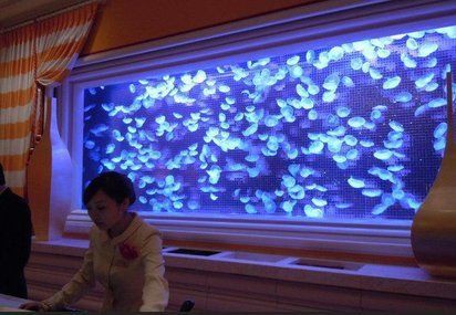 鷹潭魚缸批發市場，鷹潭魚缸批發市場呈現“低端飽和、高端待開發”特征 鷹潭魚缸批發市場，鷹潭魚缸批發市場呈現“低端飽和、高端待開發”特征 全國水族館企業名錄 第3張