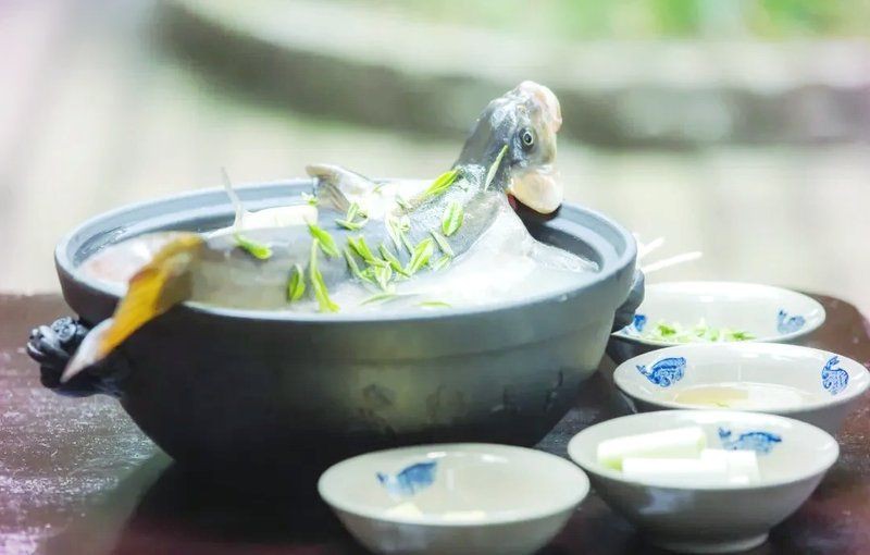 雅安魚缸店，雅安地區(qū)的魚缸店為當?shù)厮鍚酆谜咛峁┝硕鄻踊倪x擇