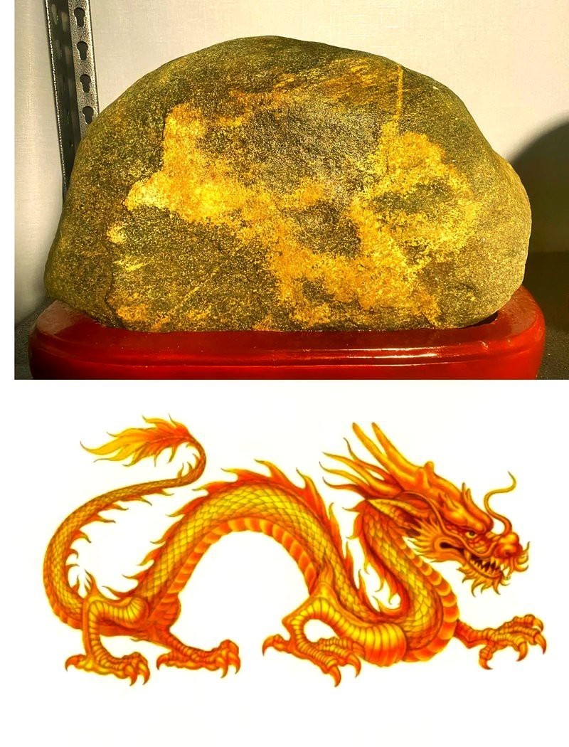 什么樣的人能看見龍，《什么樣的人能看見龍》:什么樣的人能看見龍