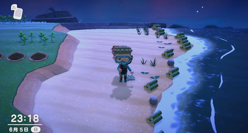 動(dòng)森蝎子島出現(xiàn)條件，《動(dòng)物森友會(huì)》蝎子島出現(xiàn)條件與高效捕捉全攻略