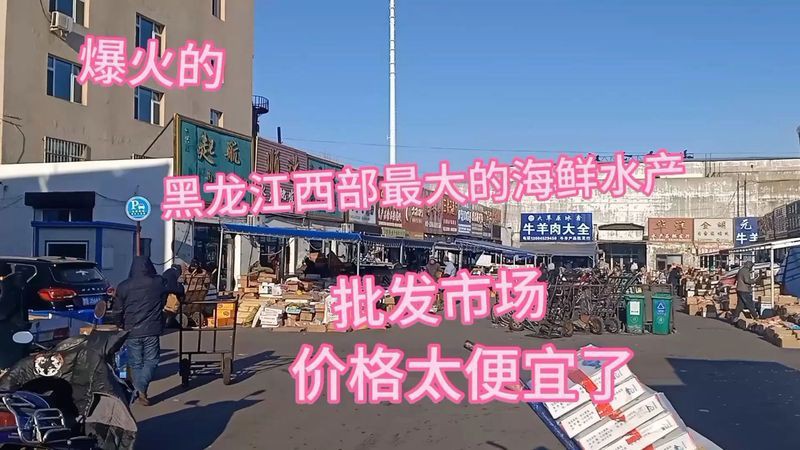 齊齊哈爾水族批發市場，齊齊哈爾:市民備貨迎春節水產市場迎來銷售旺季 齊齊哈爾水族批發市場，齊齊哈爾:市民備貨迎春節水產市場迎來銷售旺季 全國水族館企業名錄 第7張
