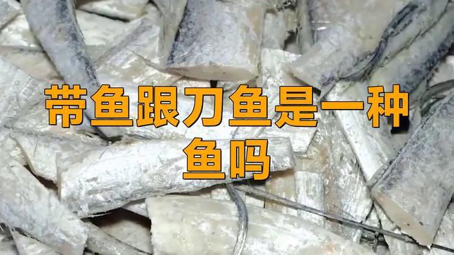 刀魚跟帶魚是一種魚么，刀魚與帶魚是一種魚嗎
