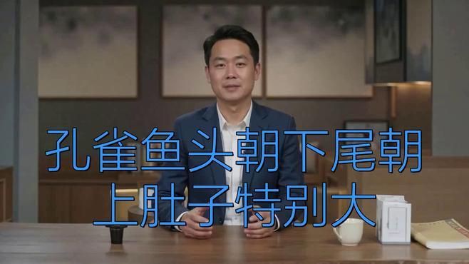 孔雀魚肚子大是什么原因，孔雀魚肚子大了很久就是不生 孔雀魚肚子大是什么原因，孔雀魚肚子大了很久就是不生 龍魚百科 第3張