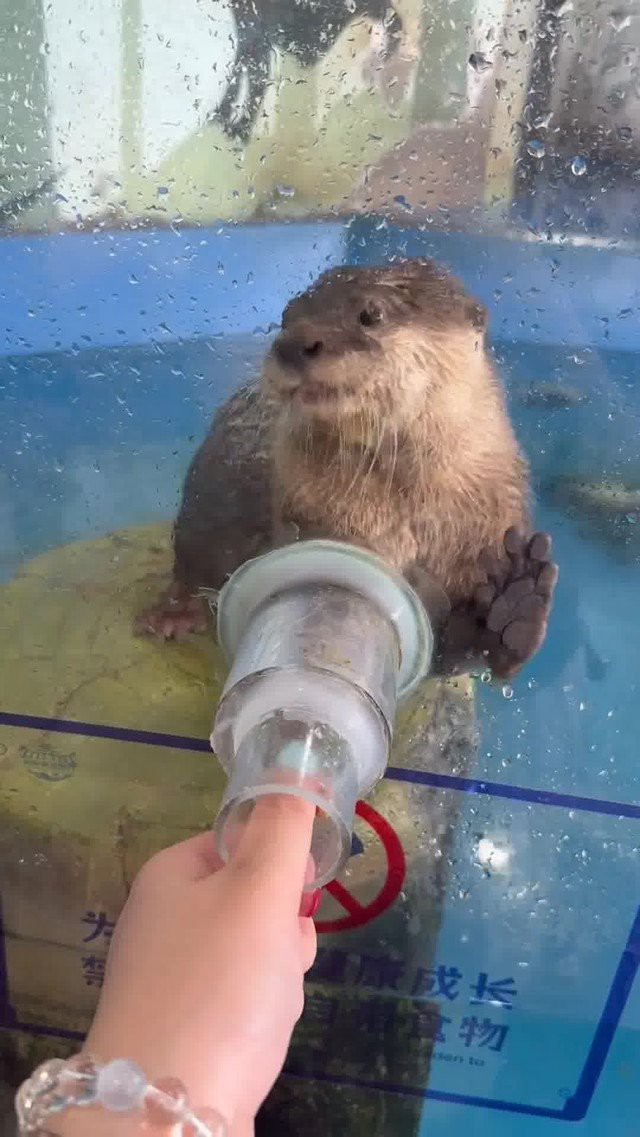 淮安水族店，淮安有哪些水族店推薦？