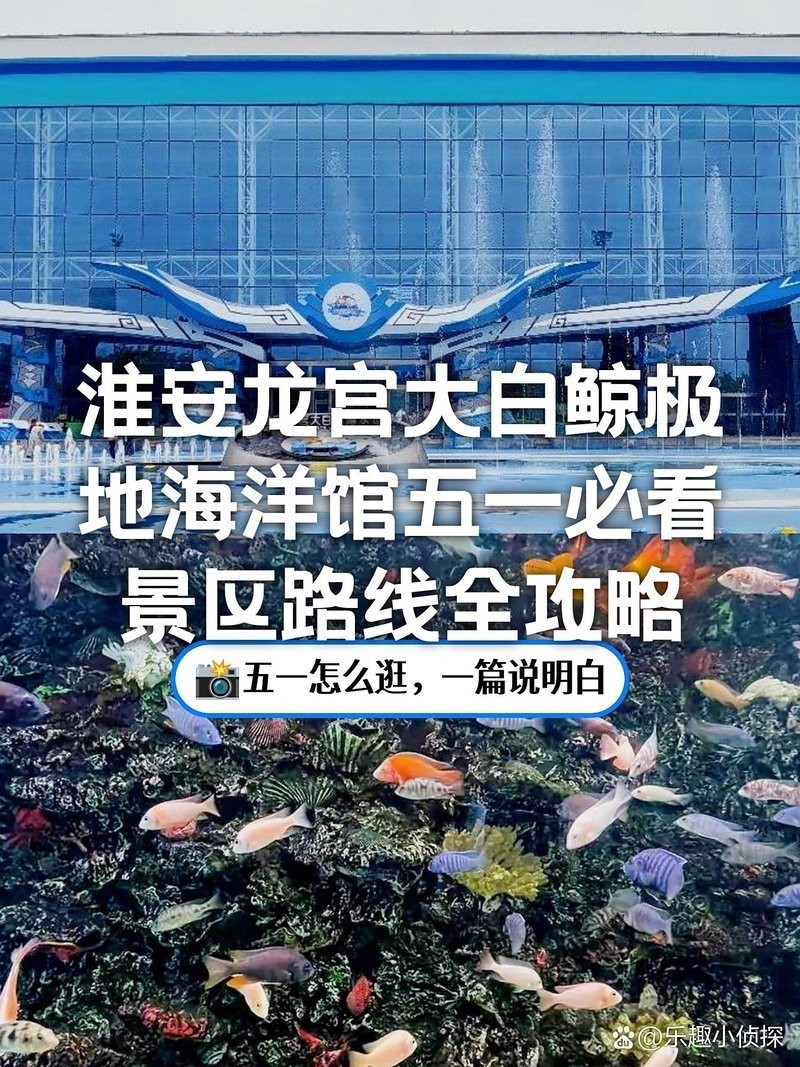 淮安水族店，淮安有哪些水族店推薦？