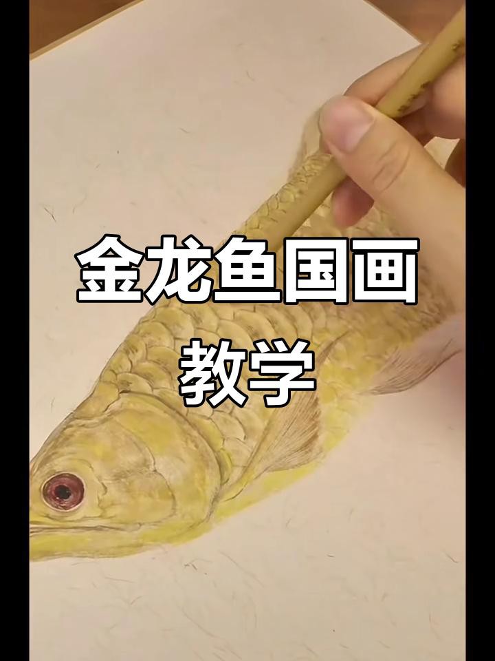 如何欣賞和評價金龍魚畫作？，如何欣賞和評價金龍魚畫作