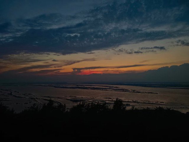 林甸龍魚店，林甸縣鑫藝水族館