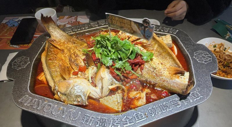 <strong><mark>皮山</mark></strong>龍魚店，廣州<strong><mark>皮山</mark></strong>龍魚店\