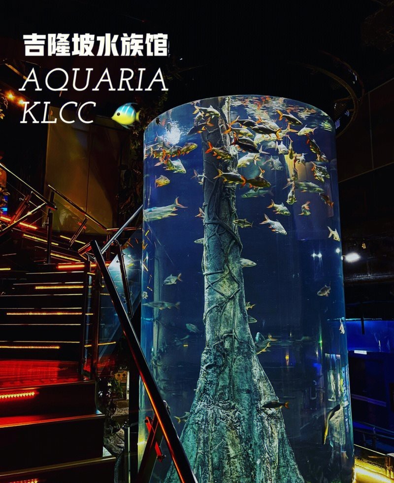 吉隆水族店，吉隆坡水族館探店記:值得一去嗎如初久不知夢(mèng)吉隆坡水族館探店記