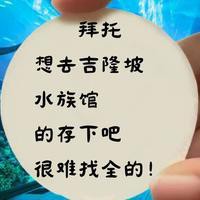 吉隆水族店，吉隆坡水族館探店記:值得一去嗎如初久不知夢(mèng)吉隆坡水族館探店記