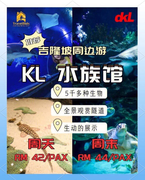 吉隆水族店，吉隆坡水族館探店記:值得一去嗎如初久不知夢(mèng)吉隆坡水族館探店記