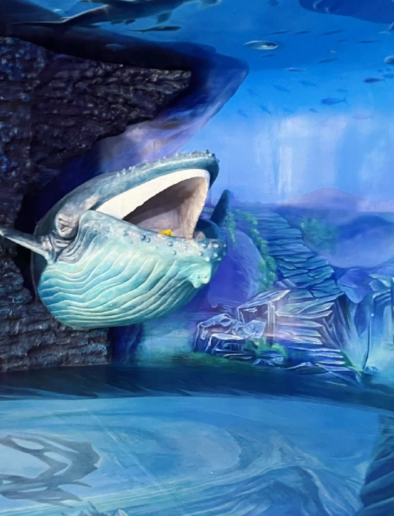 獅子山水族店，關于“獅子山水族店”