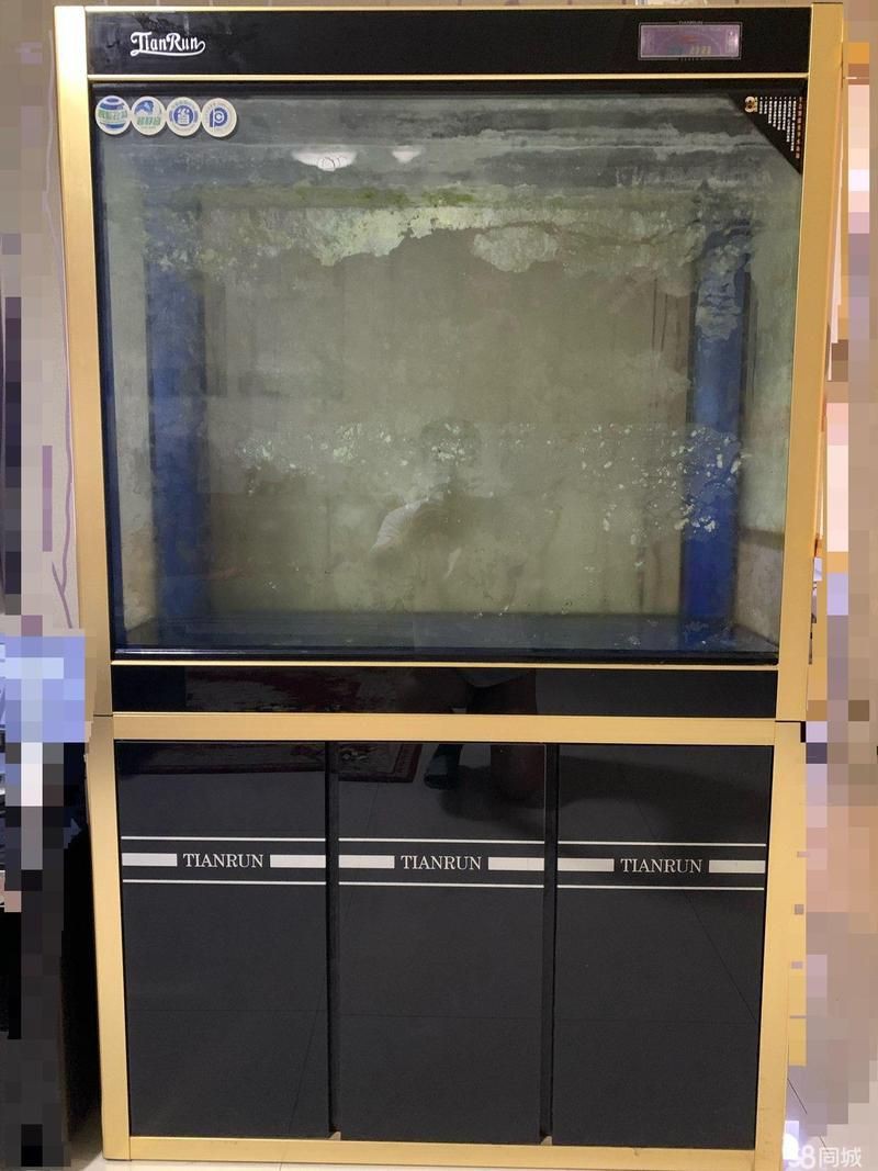 邢臺魚缸店，邢臺有多家特色魚缸店為市民提供豐富的選擇