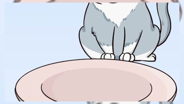 貓吃金魚會中毒嗎，貓吃金魚有危害嗎？