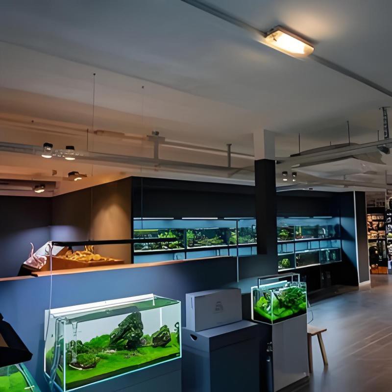 措勤龍魚店，廣州措勤龍魚店