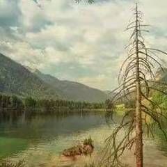 丹東魚缸定做，丹東地區的魚缸定制服務豐富多樣