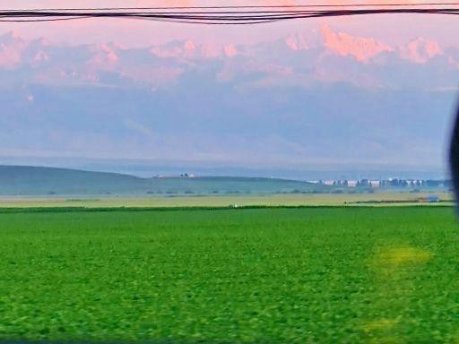 昭蘇龍魚店,新疆昭蘇龍魚店 全國水族館企業名錄 第3張 昭蘇龍魚店,新疆昭蘇龍魚店 昭蘇龍魚店,新疆昭蘇龍魚店 全國水族館企業名錄 第3張