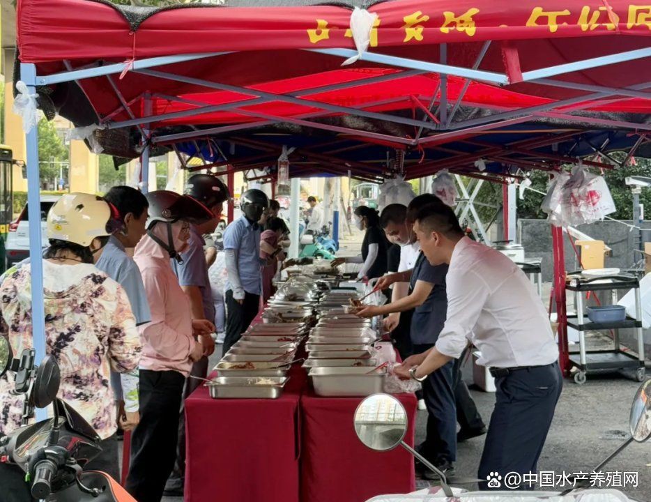 桂魚的市場價格是多少？，2025年8月2日全國主要批發市場桂魚價格行情