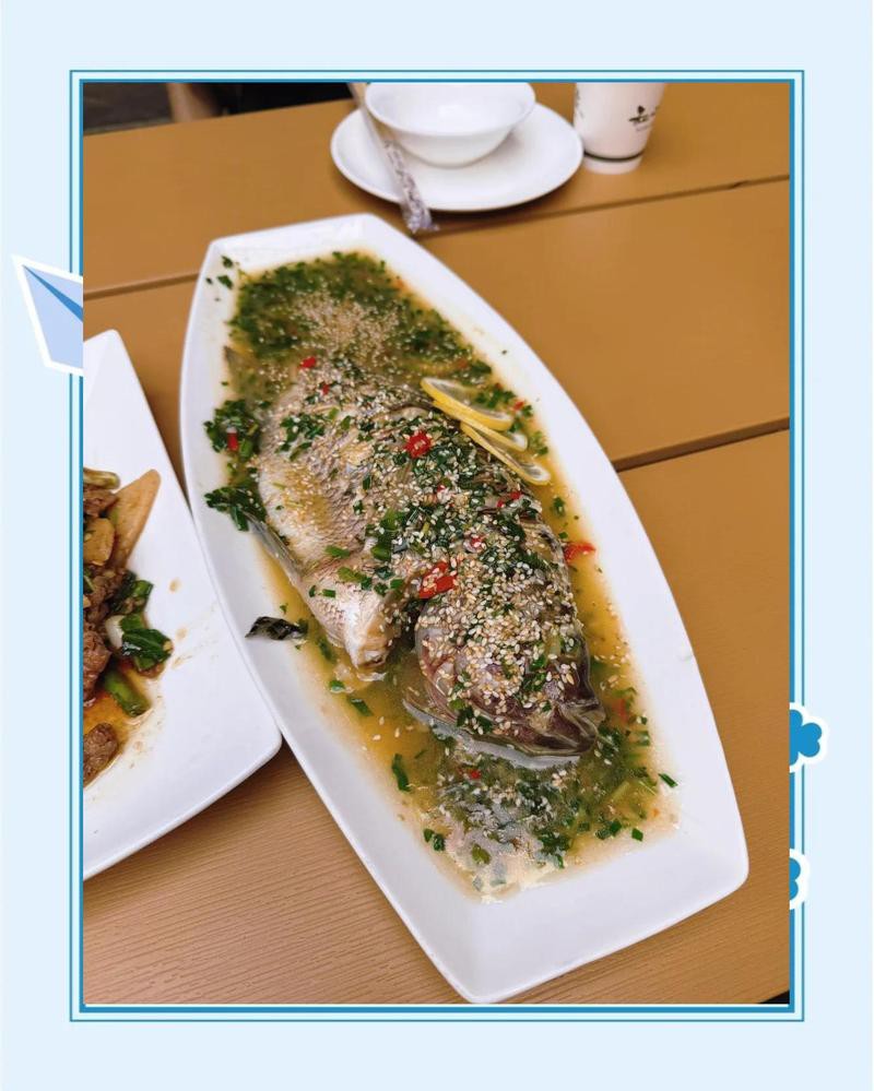 和順龍魚店，和順哪家店的檸檬魚最正宗 和順龍魚店，和順哪家店的檸檬魚最正宗 全國水族館企業名錄 第3張