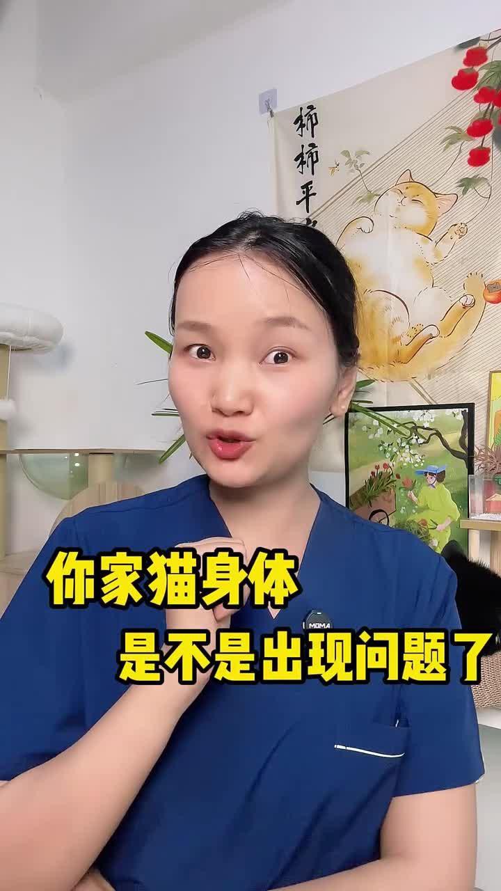 如何判斷龍須貓是否健康？，判斷龍須貓是否健康的綜合指南