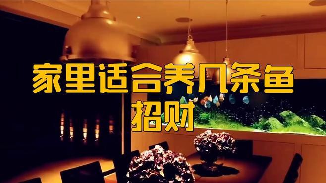 養(yǎng)龍魚養(yǎng)七條還是八條，八條龍魚養(yǎng)多少條吉利民間傳說守護(hù)者02:36養(yǎng)幾條 養(yǎng)龍魚養(yǎng)七條還是八條，八條龍魚養(yǎng)多少條吉利民間傳說守護(hù)者02:36養(yǎng)幾條 龍魚論壇 第7張